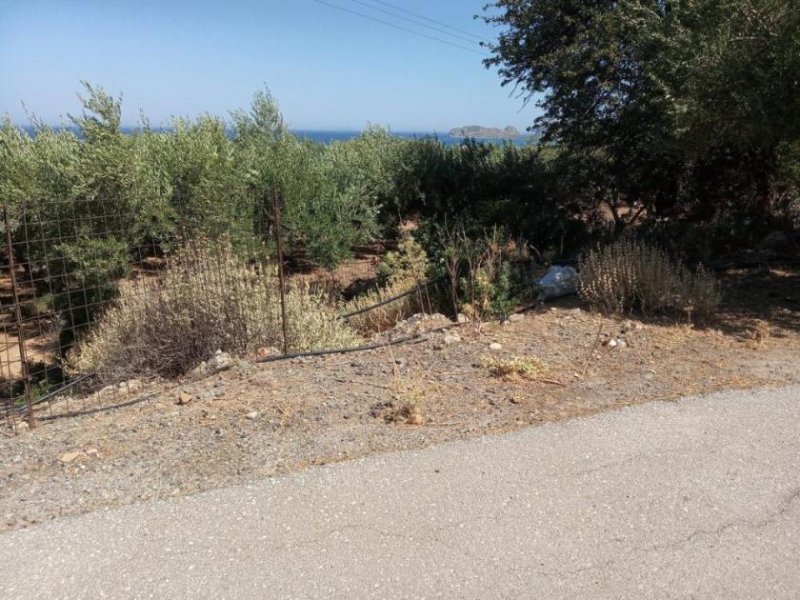 Kissamos Kreta, Kissamos: Grundstück in der Nähe des Strandes von Falassarna Grundstück kaufen